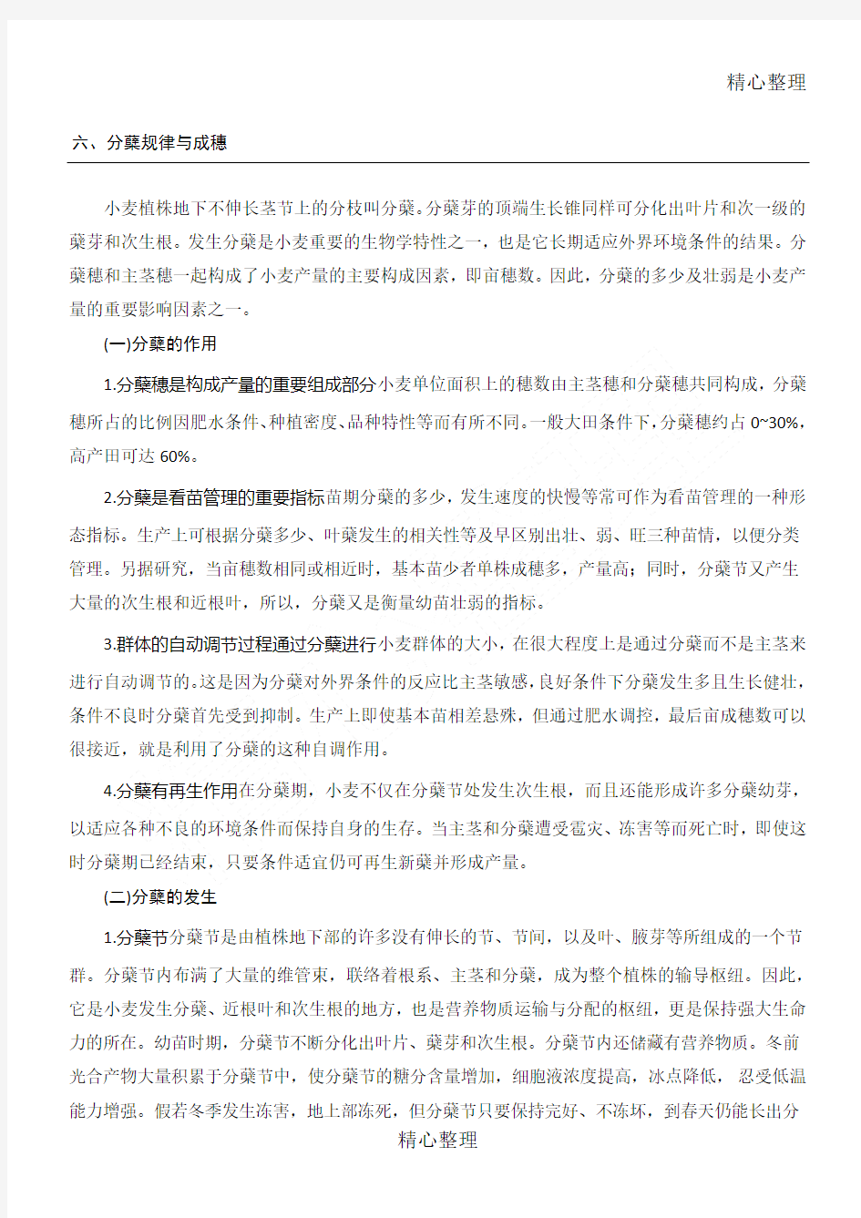 小麦分蘖规律与成穗