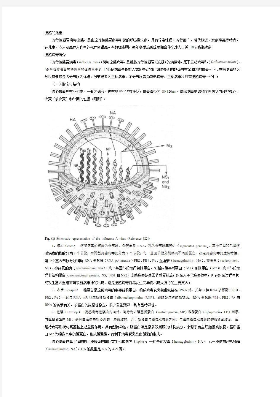 流感病毒基础的知识