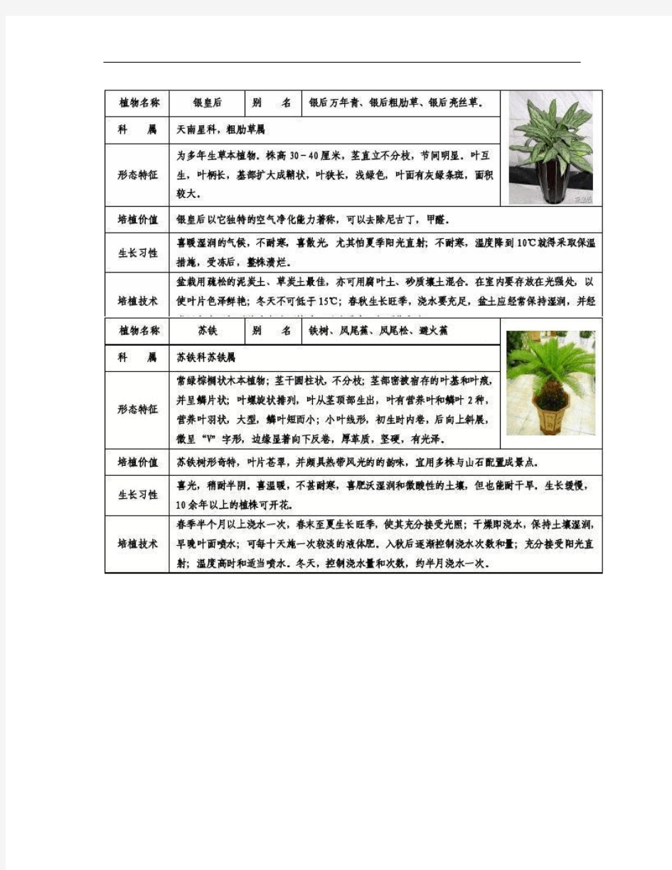 50种常见室内盆栽绿化植物介绍(带图片).