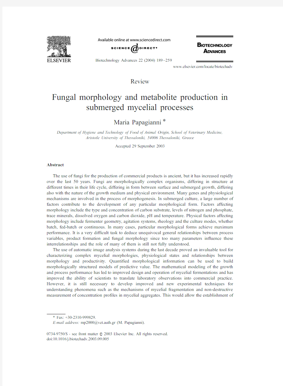 Fungal morphology and metabolite production in submerged mycelial processes