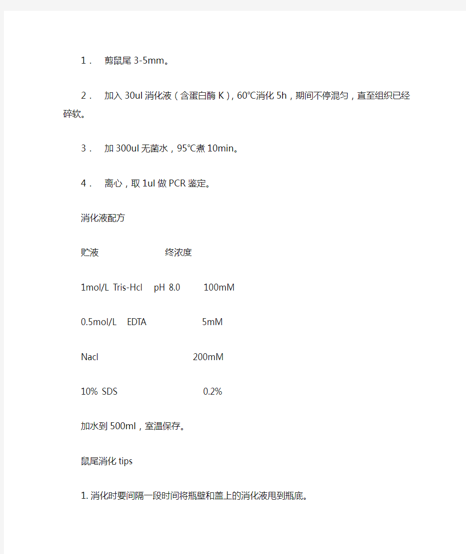 小鼠genotyping步骤