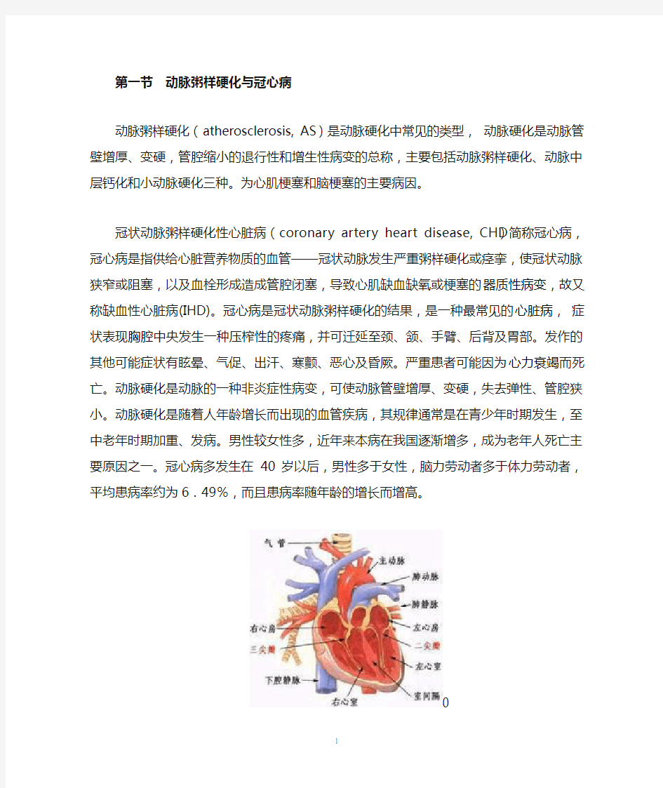 动脉粥样硬化与冠心病