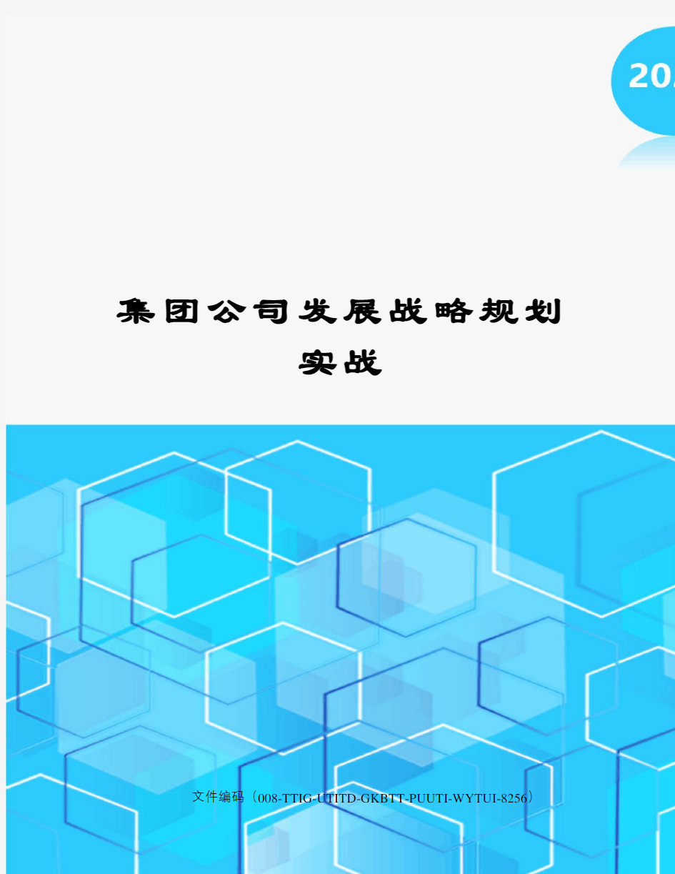 集团公司发展战略规划实战