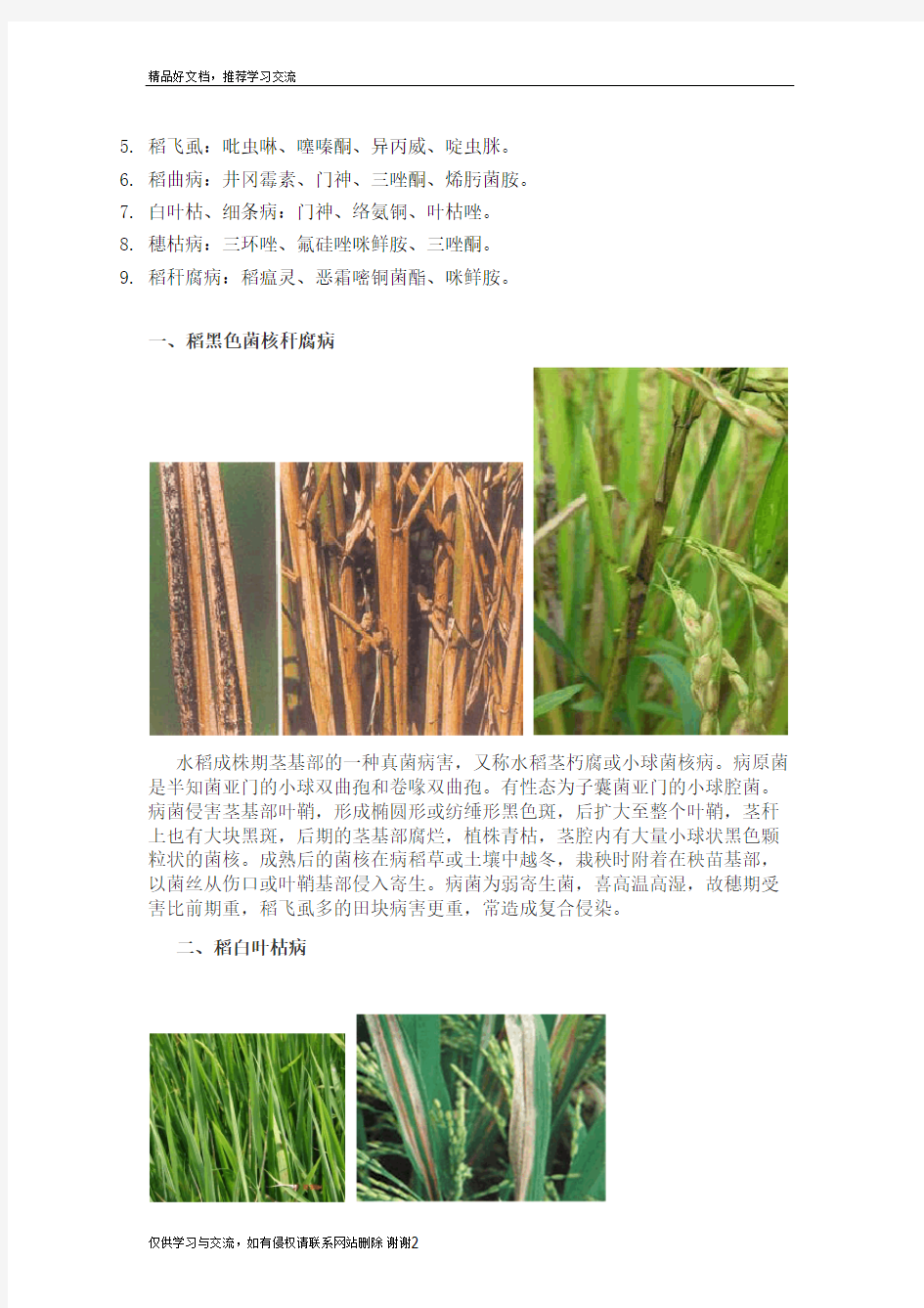 最新水稻病虫害种类及图片