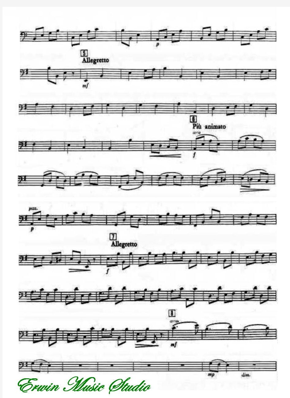 Violoncello弦乐四重奏《快乐的萨丽哈》总谱 分谱