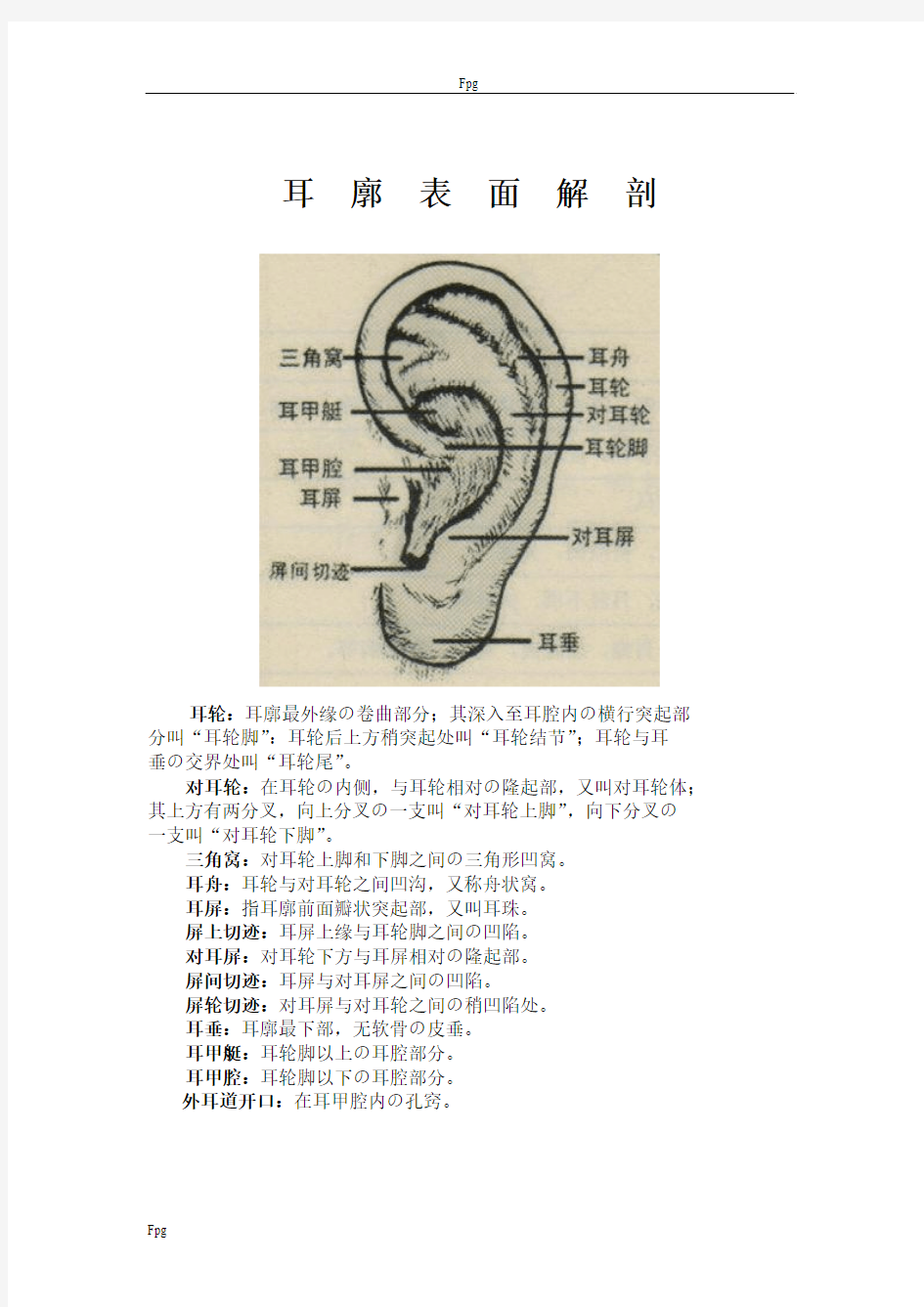 常用耳穴及耳图