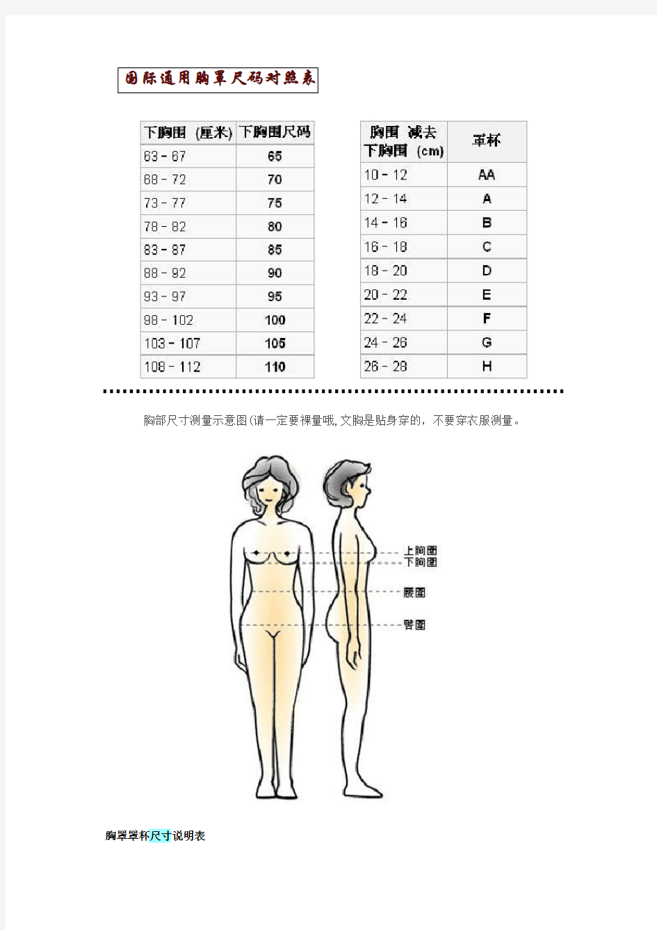 国际通用胸罩尺码对照表_和他