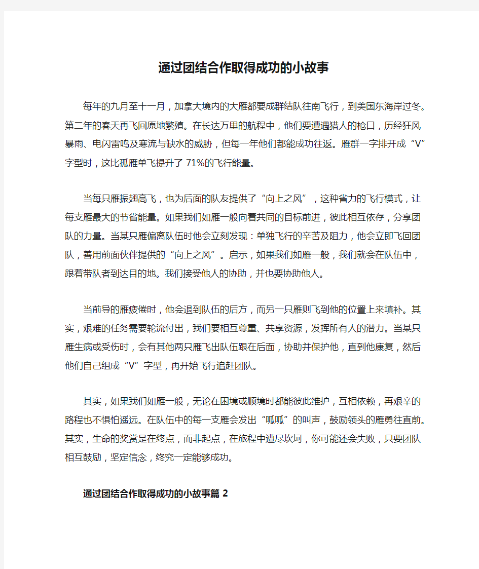 通过团结合作取得成功的小故事