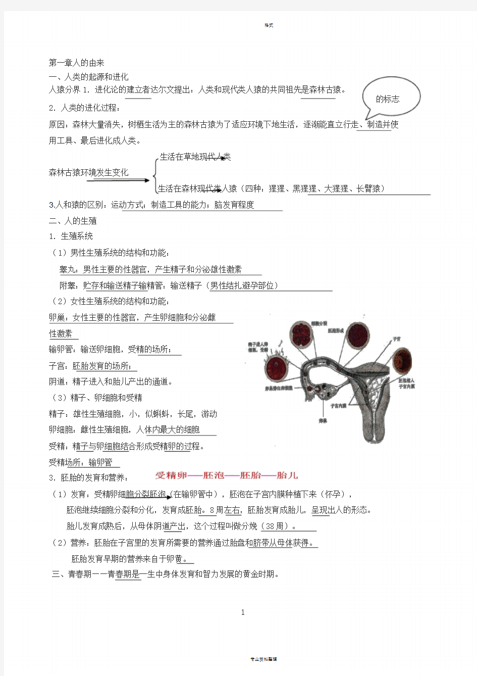 初中生物-七年级下册知识点整理