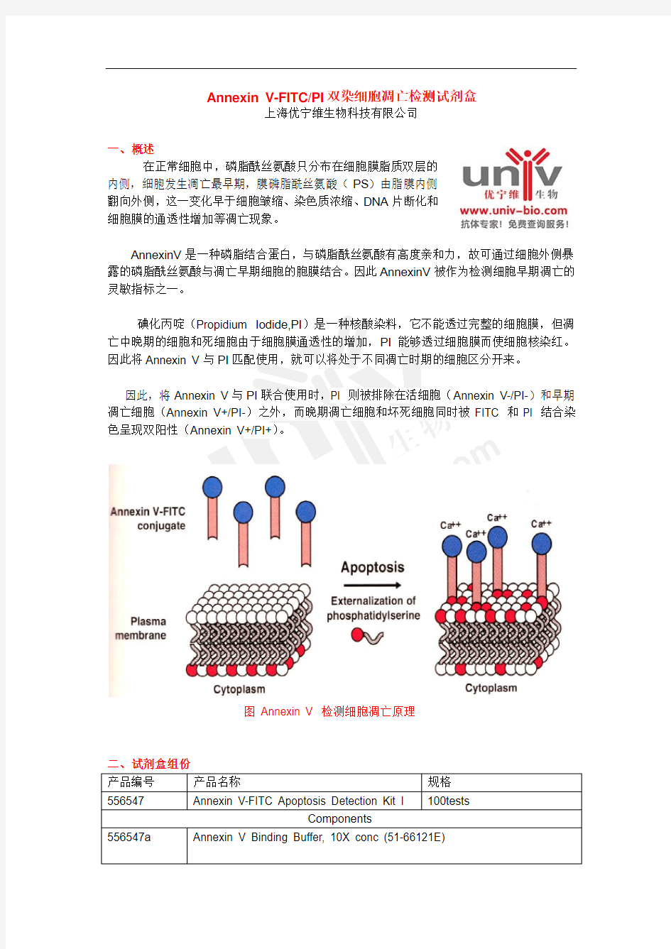 Annexin V-FITCPI细胞凋亡检测试剂盒