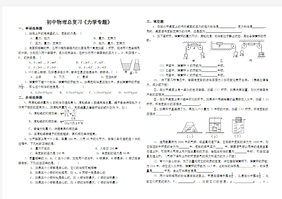 初中物理总复习《力学专题》