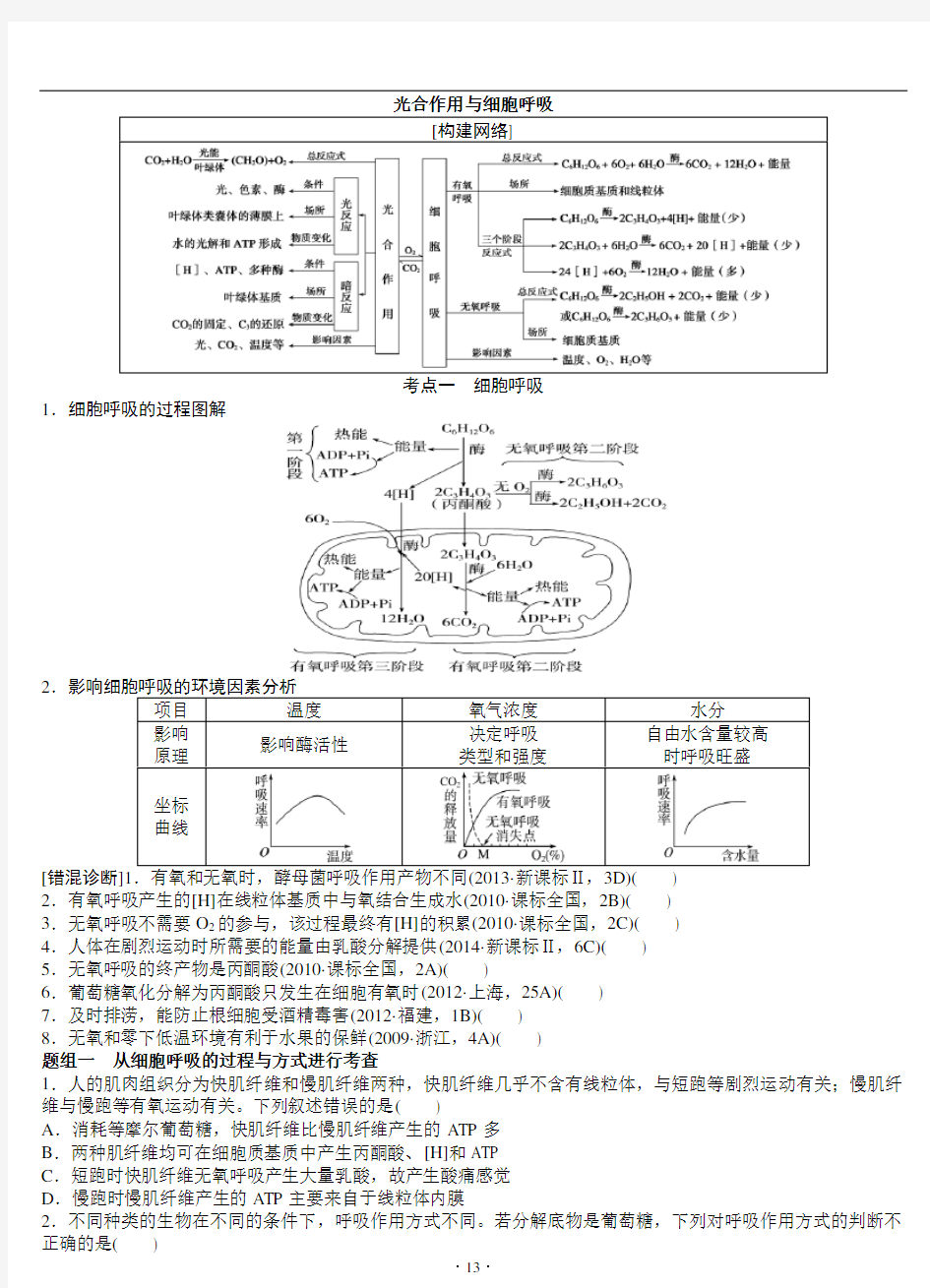 专题光合作用与细胞呼吸讲解