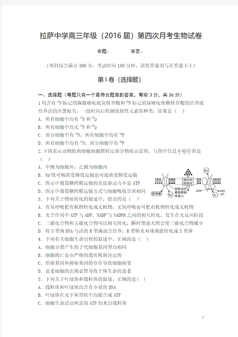 西藏自治区拉萨中学2016届高三上学期第四次月考生物试卷