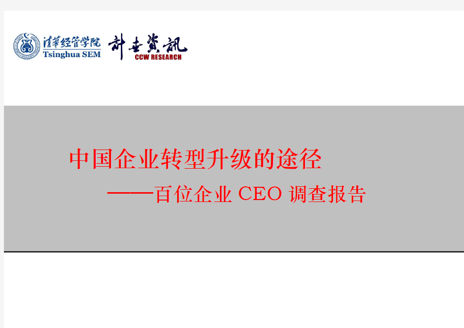 中国100家企业CEO调查白皮书
