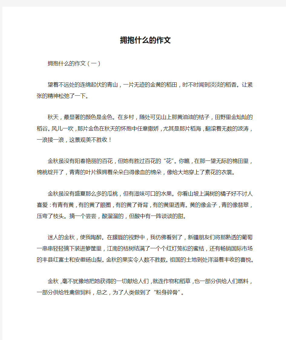 拥抱什么的作文