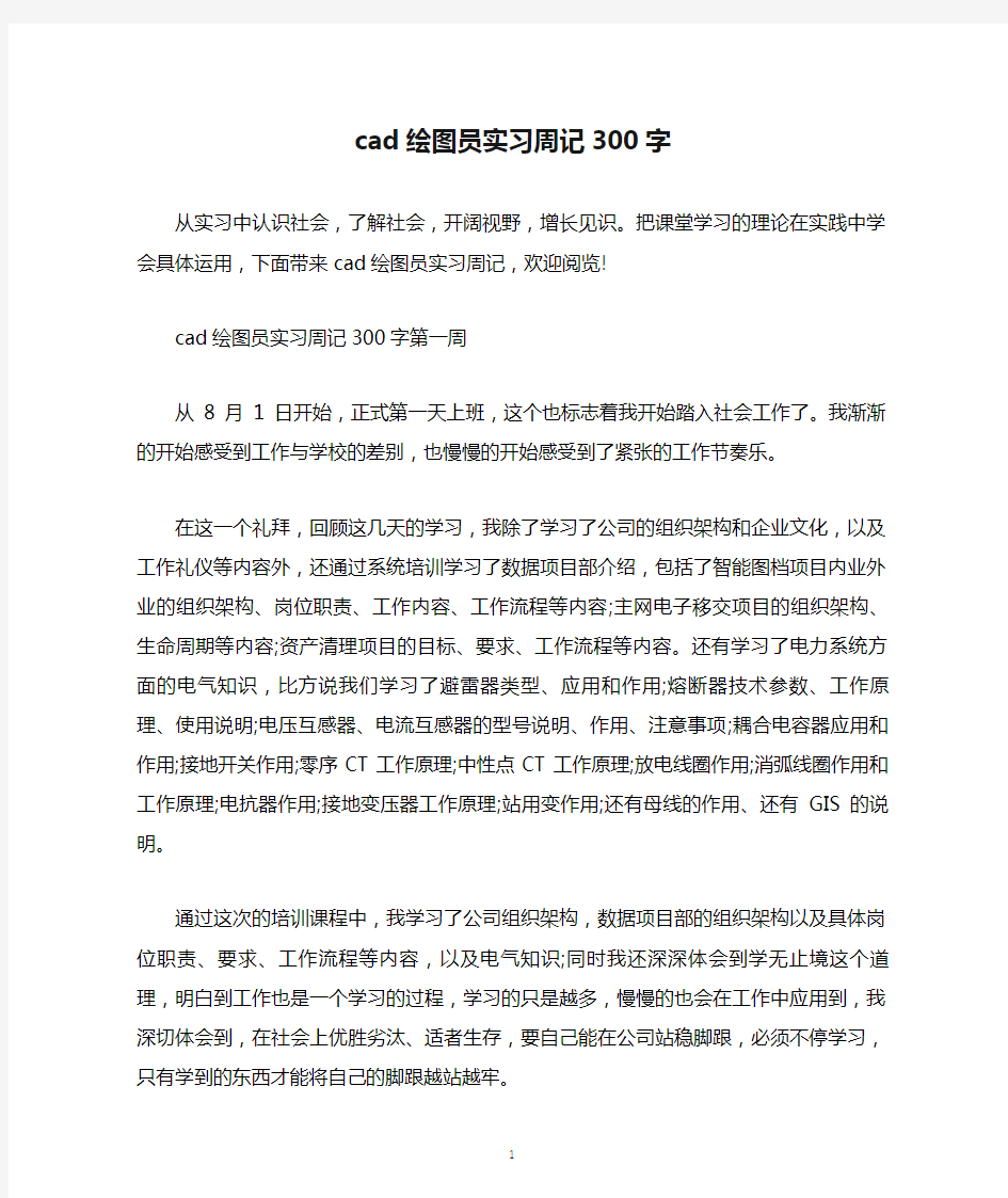 cad绘图员实习周记300字