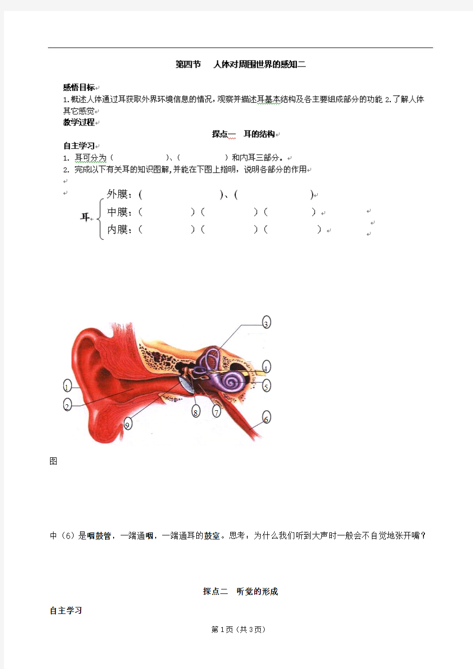 山东省高密市银鹰文昌中学七年级下册生物学案：人体对周围罪世界的感知二