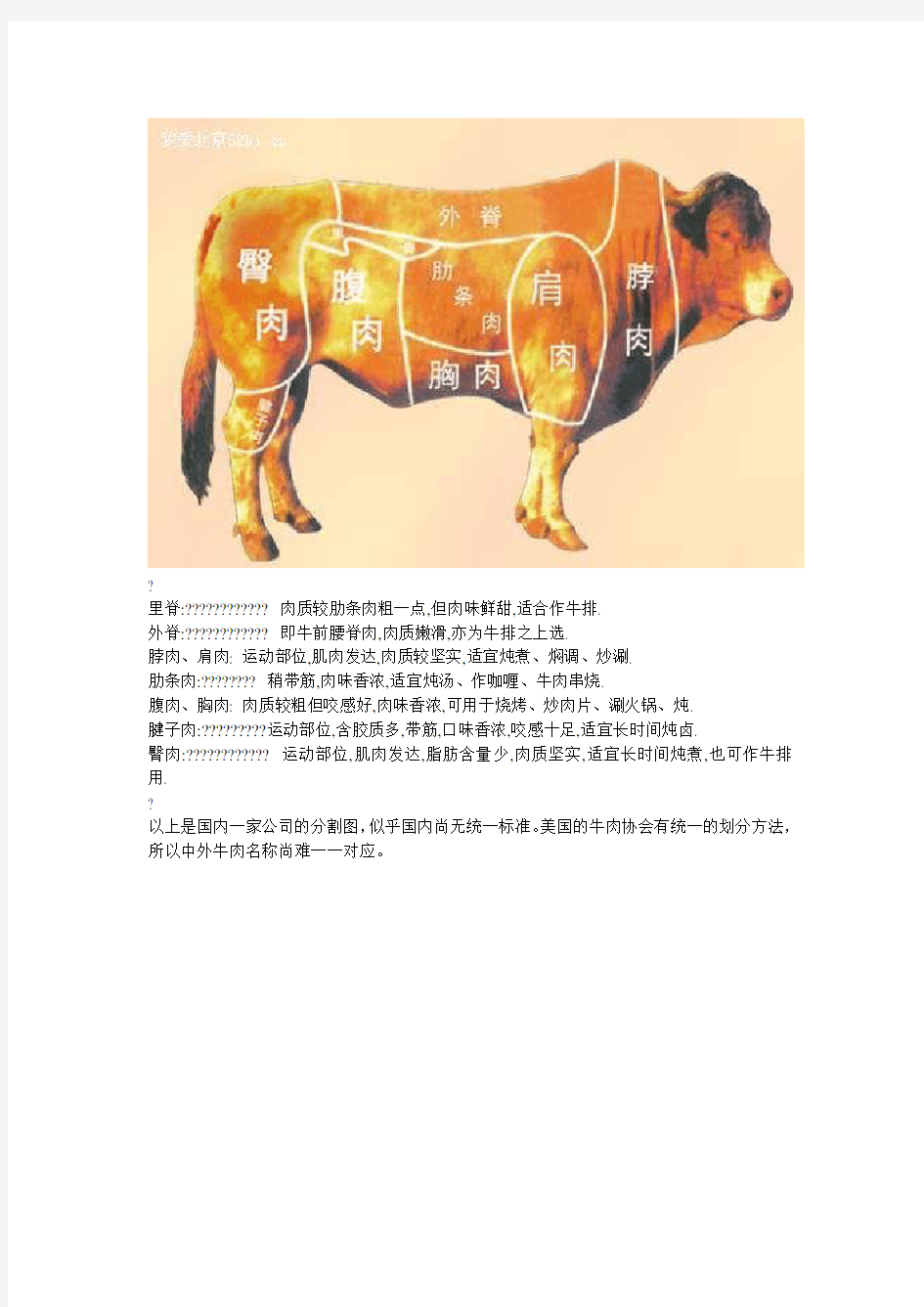 牛肉部位分割图