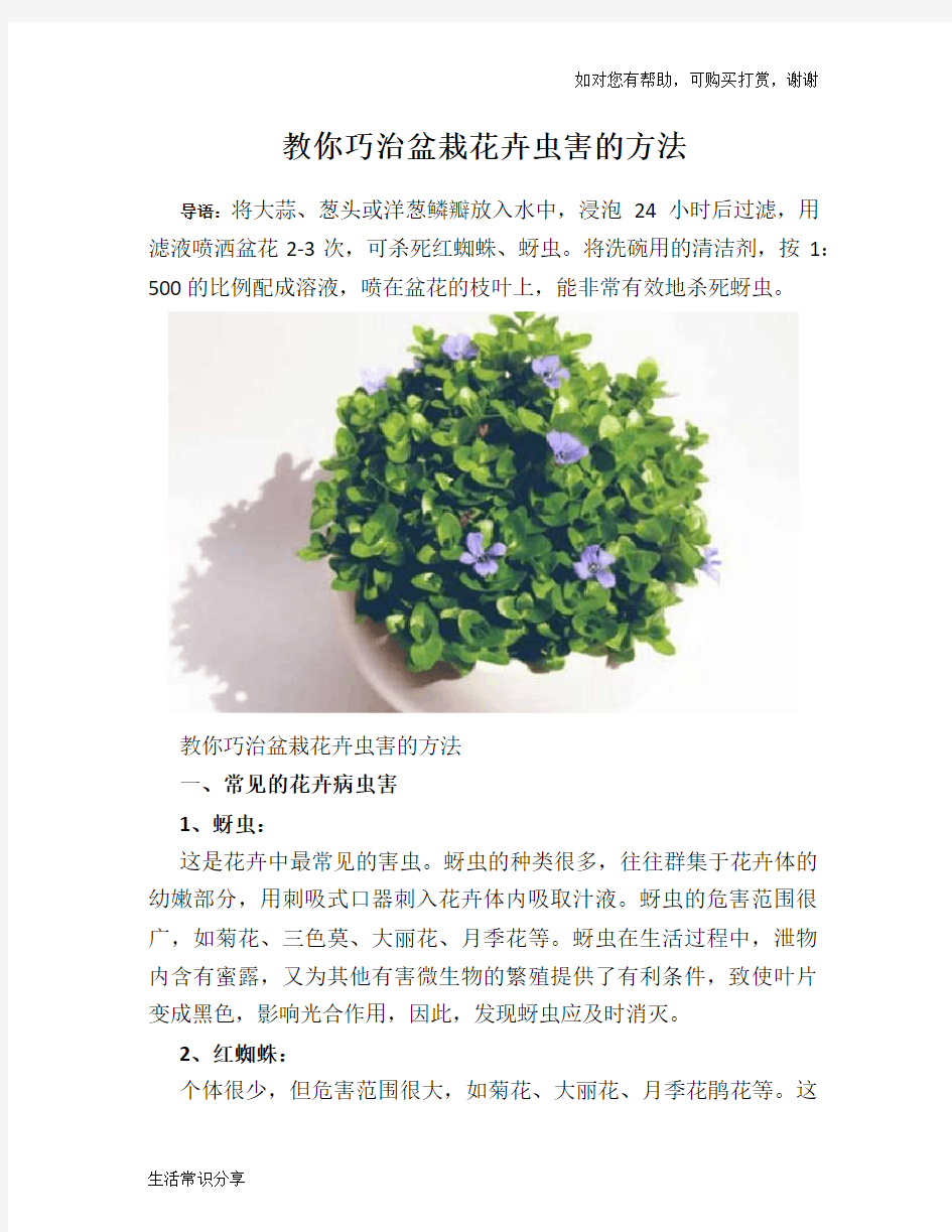 教你巧治盆栽花卉虫害的方法