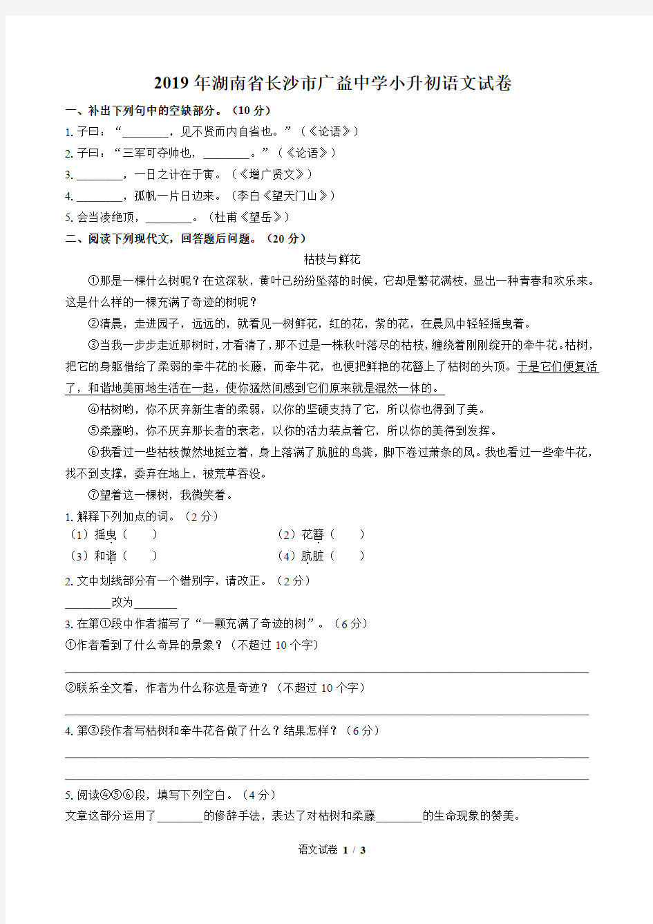 2019年湖南省长沙市广益中学小升初语文试卷及答案解析