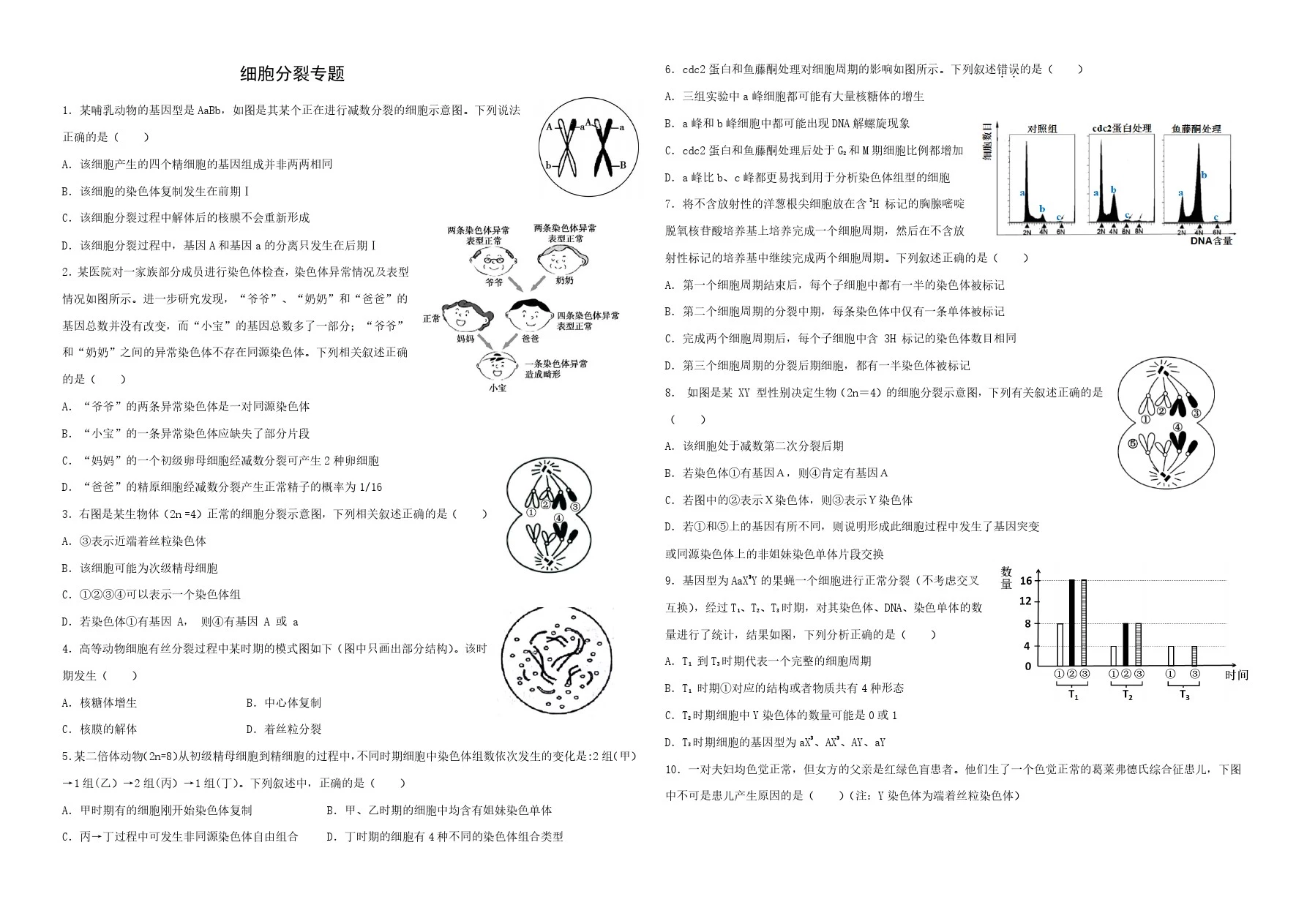 细胞分裂专题汇总