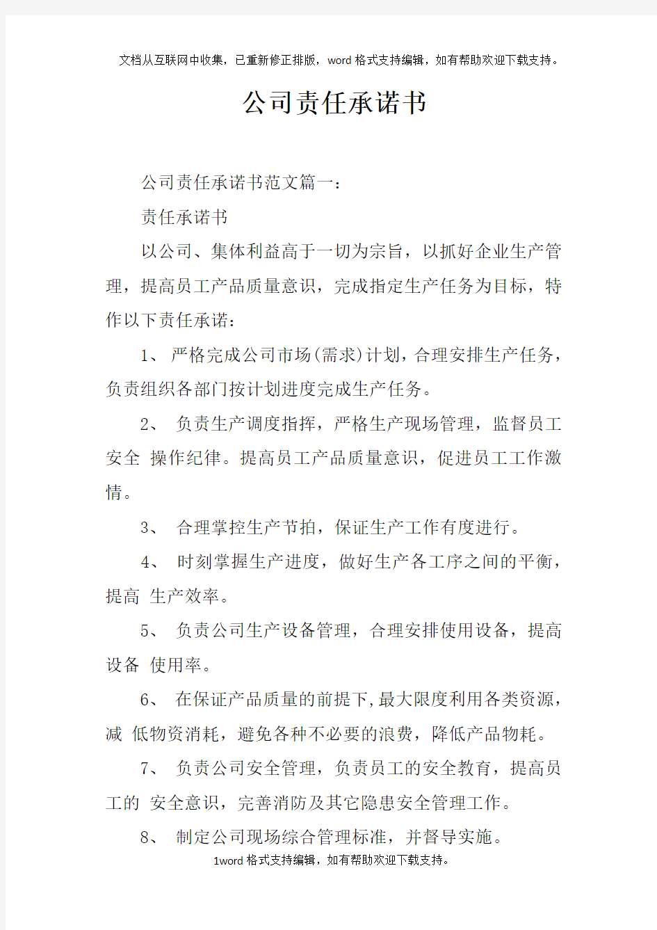 公司责任承诺书