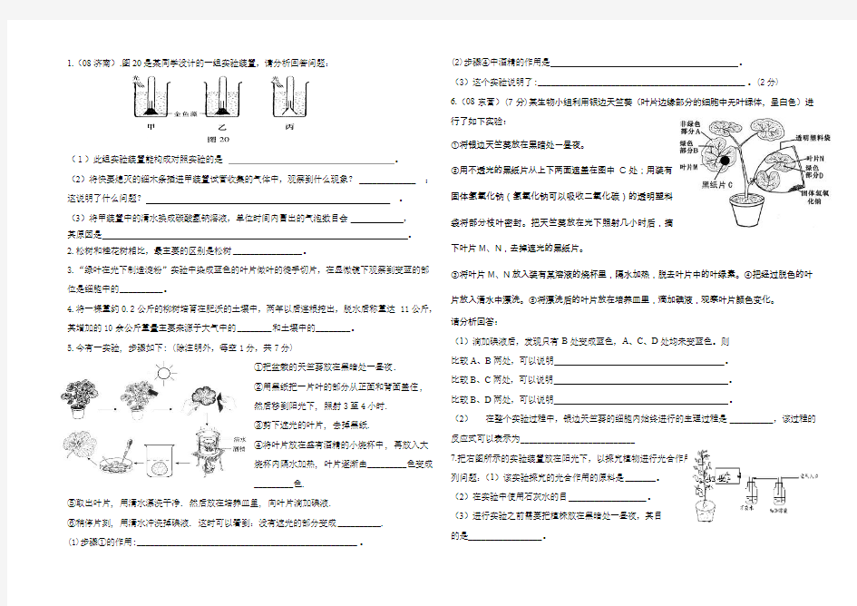 光合作用和呼吸作用测试题