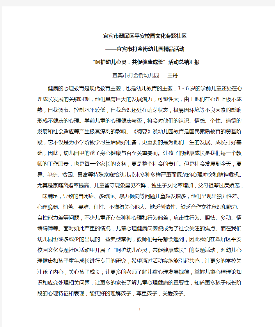 呵护幼儿园心灵,共促健康成长总结汇报