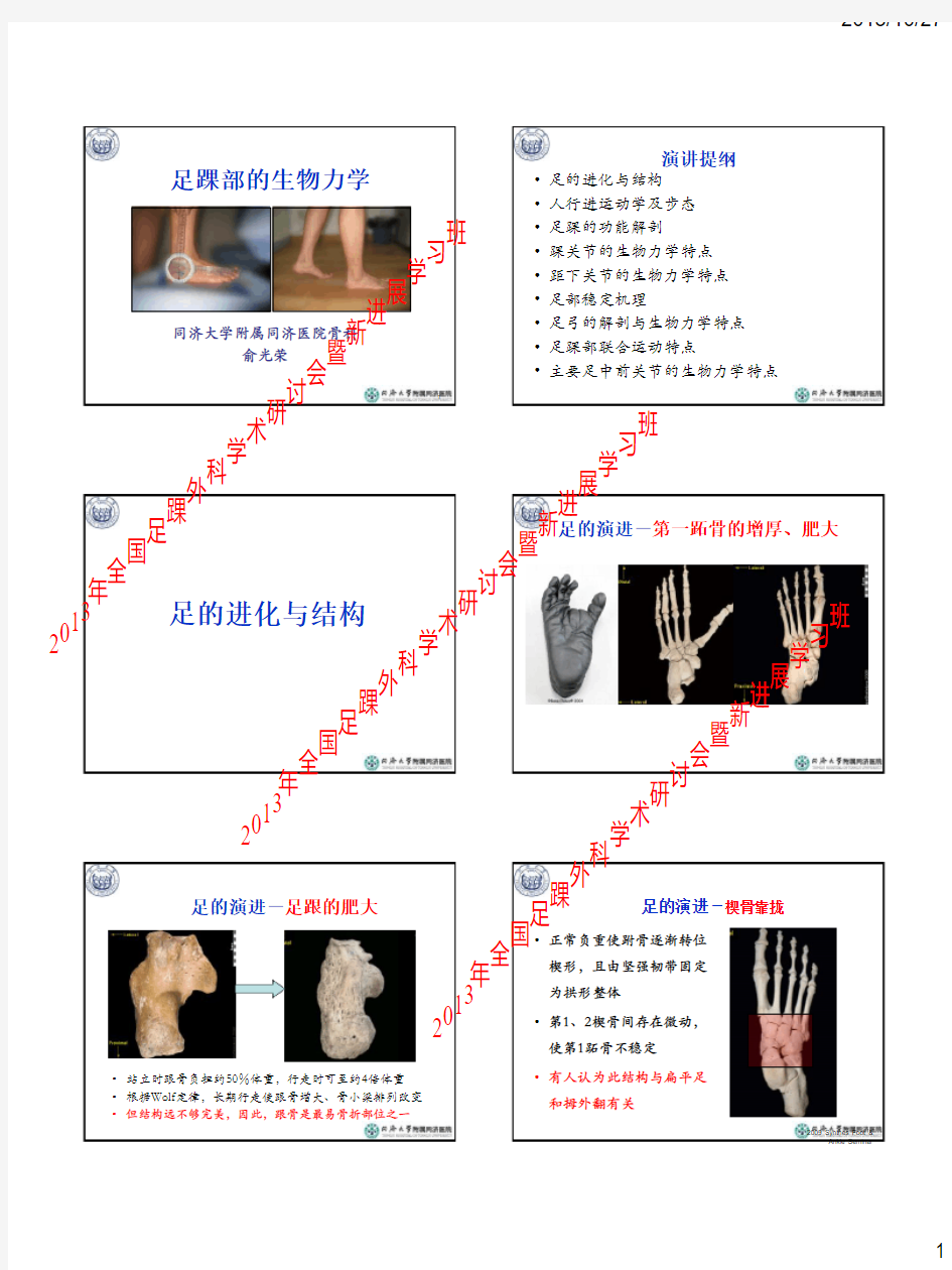 足踝生物力学