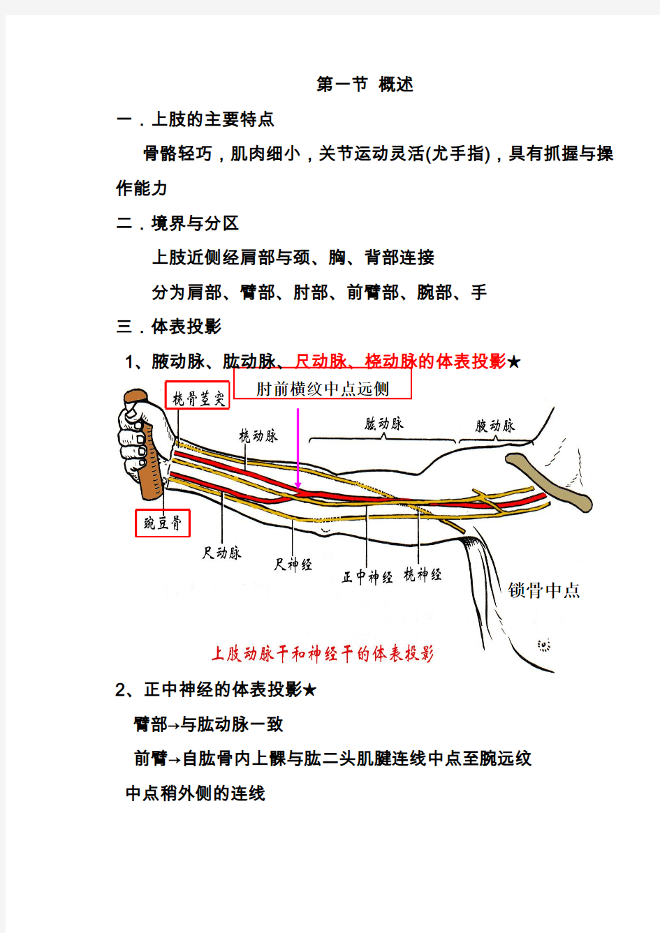 局解上肢