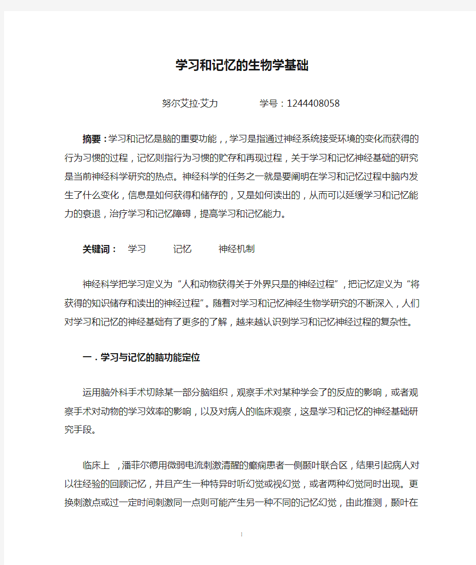 学习和记忆的生物学基础