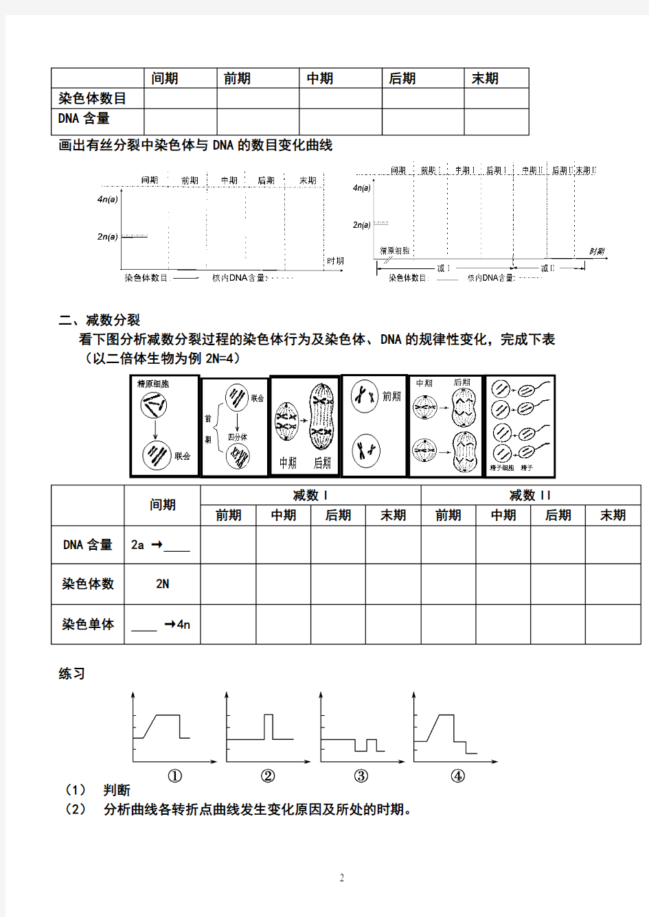 江苏省高淳高级中学生物一轮复习学案13-有丝分裂和减数分裂综合复习