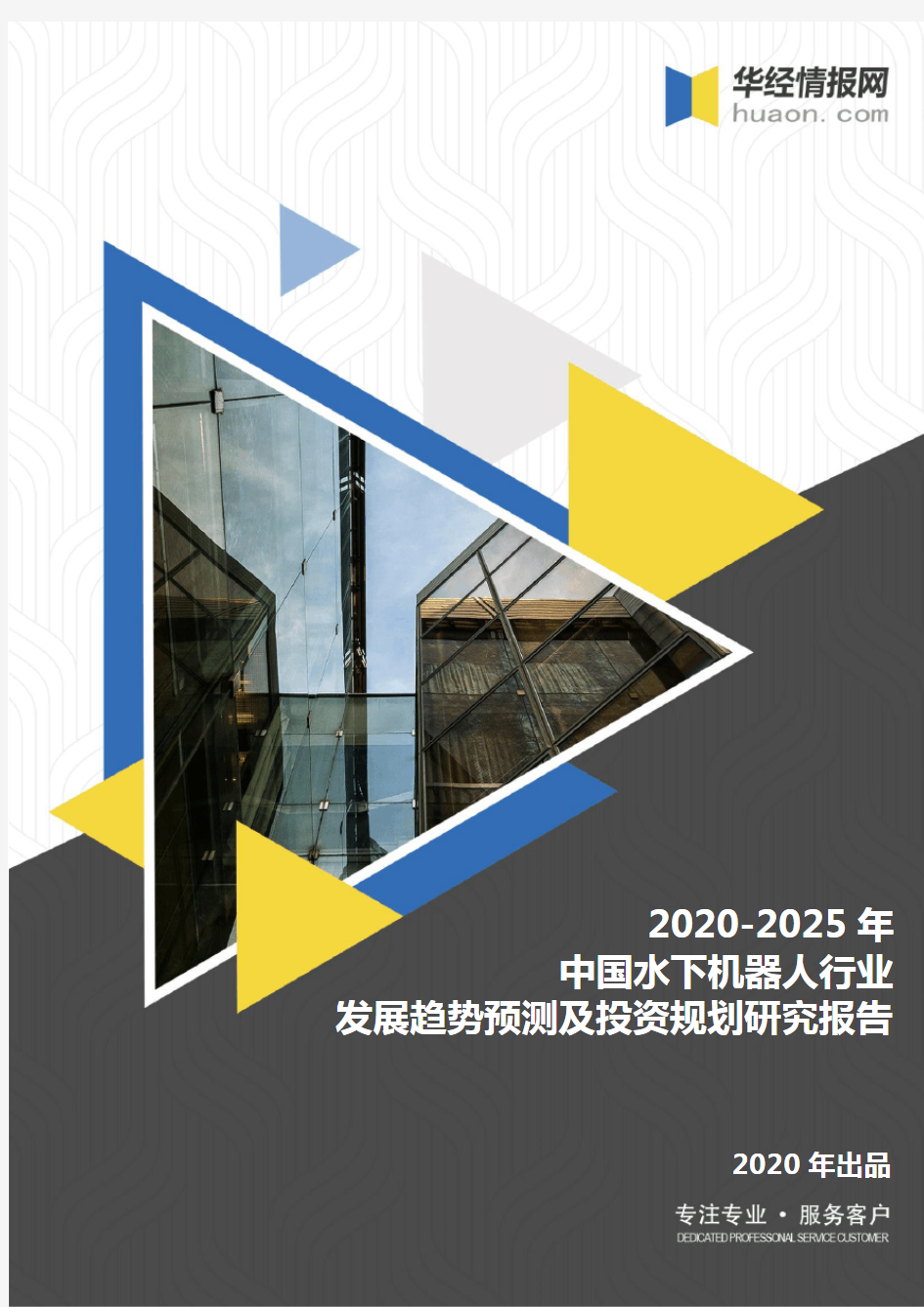 2020-2025年中国水下机器人行业发展趋势预测及投资规划研究报告