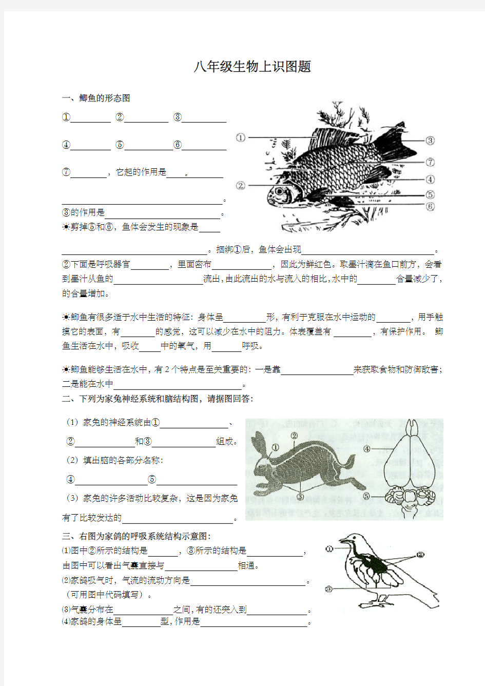 关于八年级生物上填图题识图题专题复习