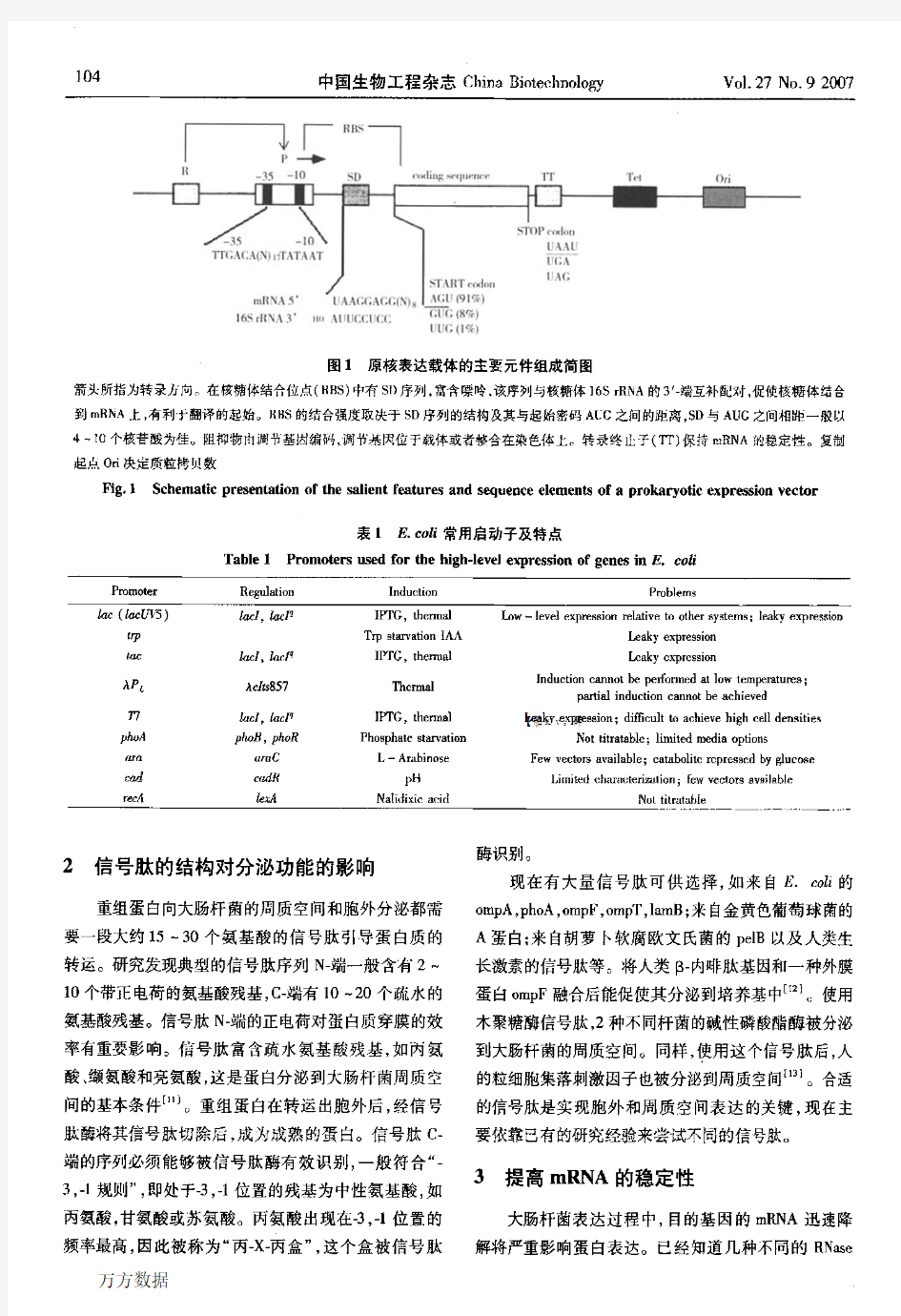 大肠杆菌高效表达重组蛋白策略