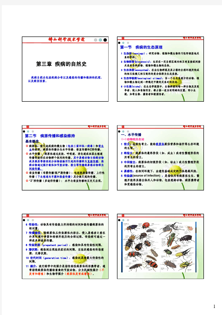 第三章 疾病的自然史