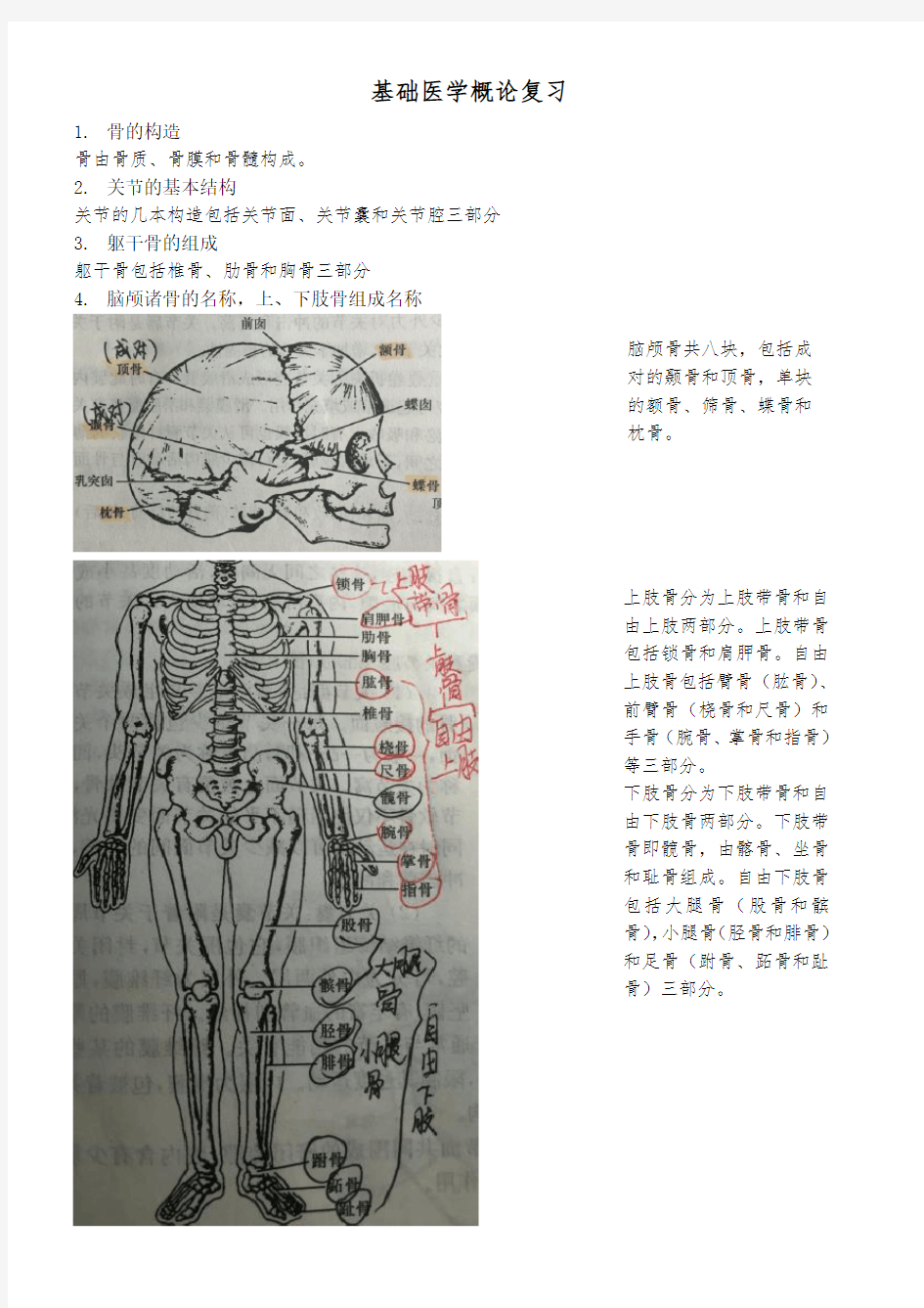 基础医学概论复习