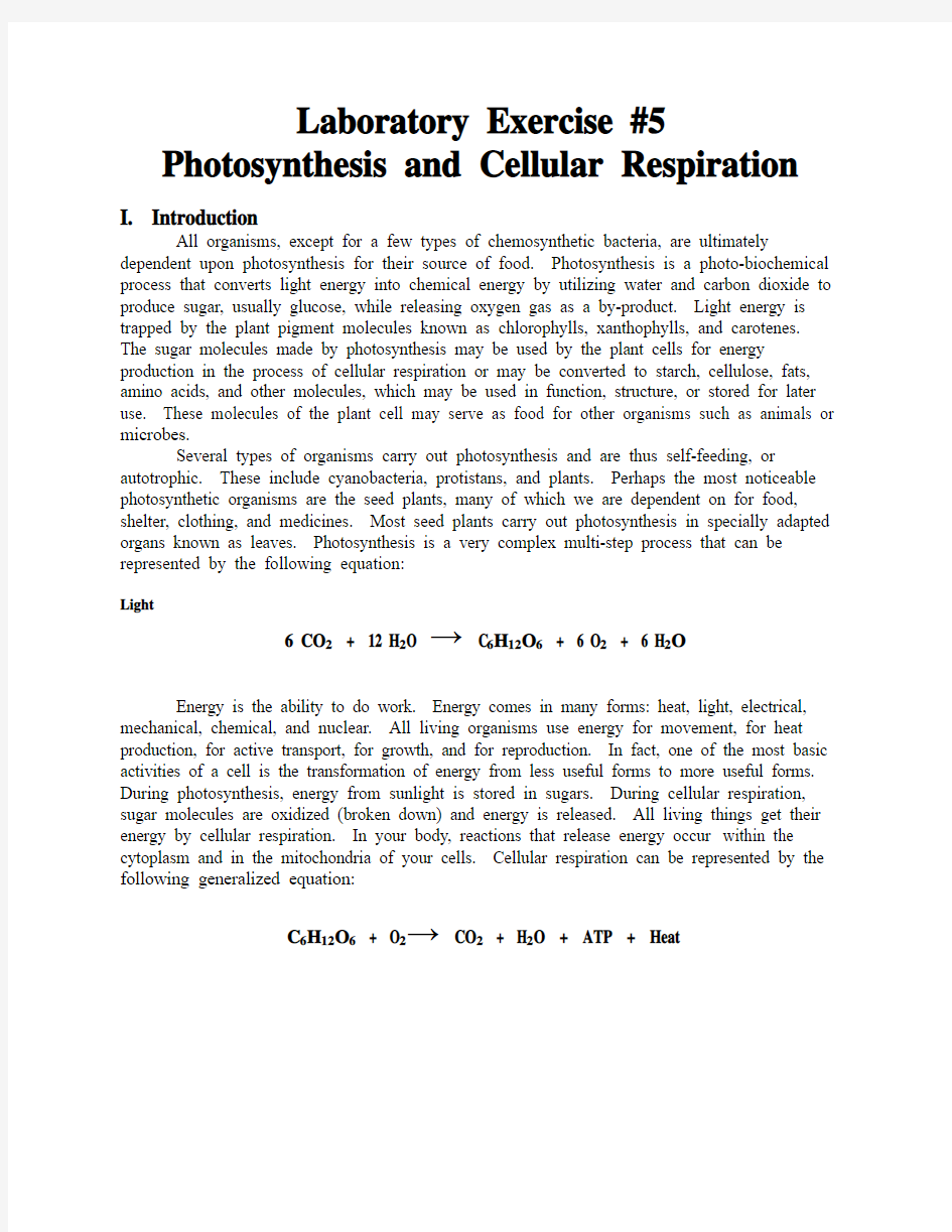 Laboratory Exercise 5 Photosynthesis and Cellular