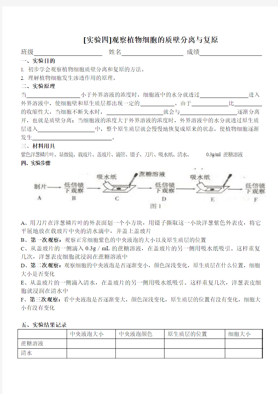 《观察植物细胞的质壁分离和复原》实验报告单