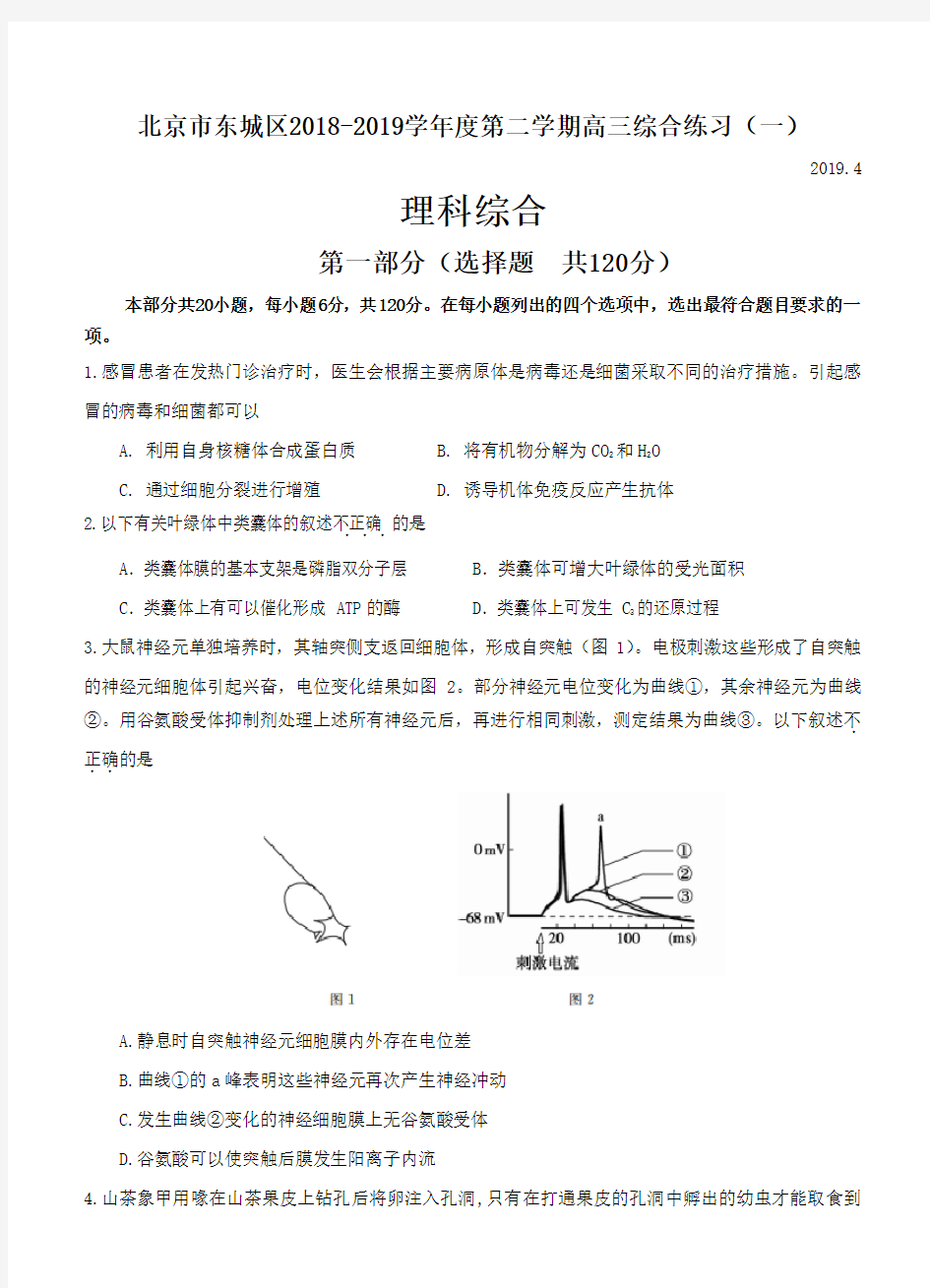 北京市东城区2018学年度第二学期高三综合练习(一)理综生物试题(含答案)