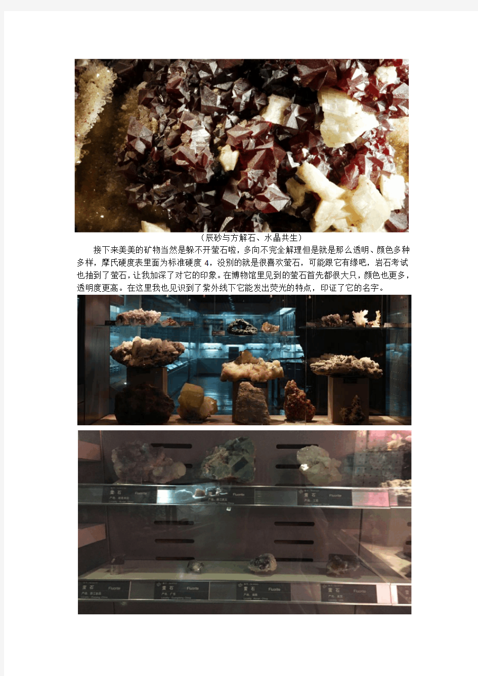 北京地质博物馆参观总结