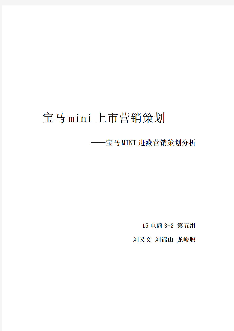 进藏宝马mine的营销案例文档(新)