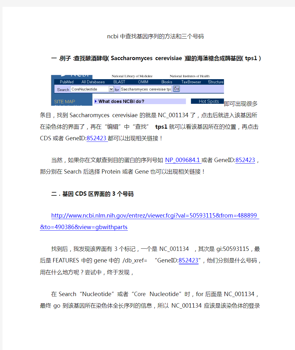 ncbi中查找基因序列的方法和三个登录号