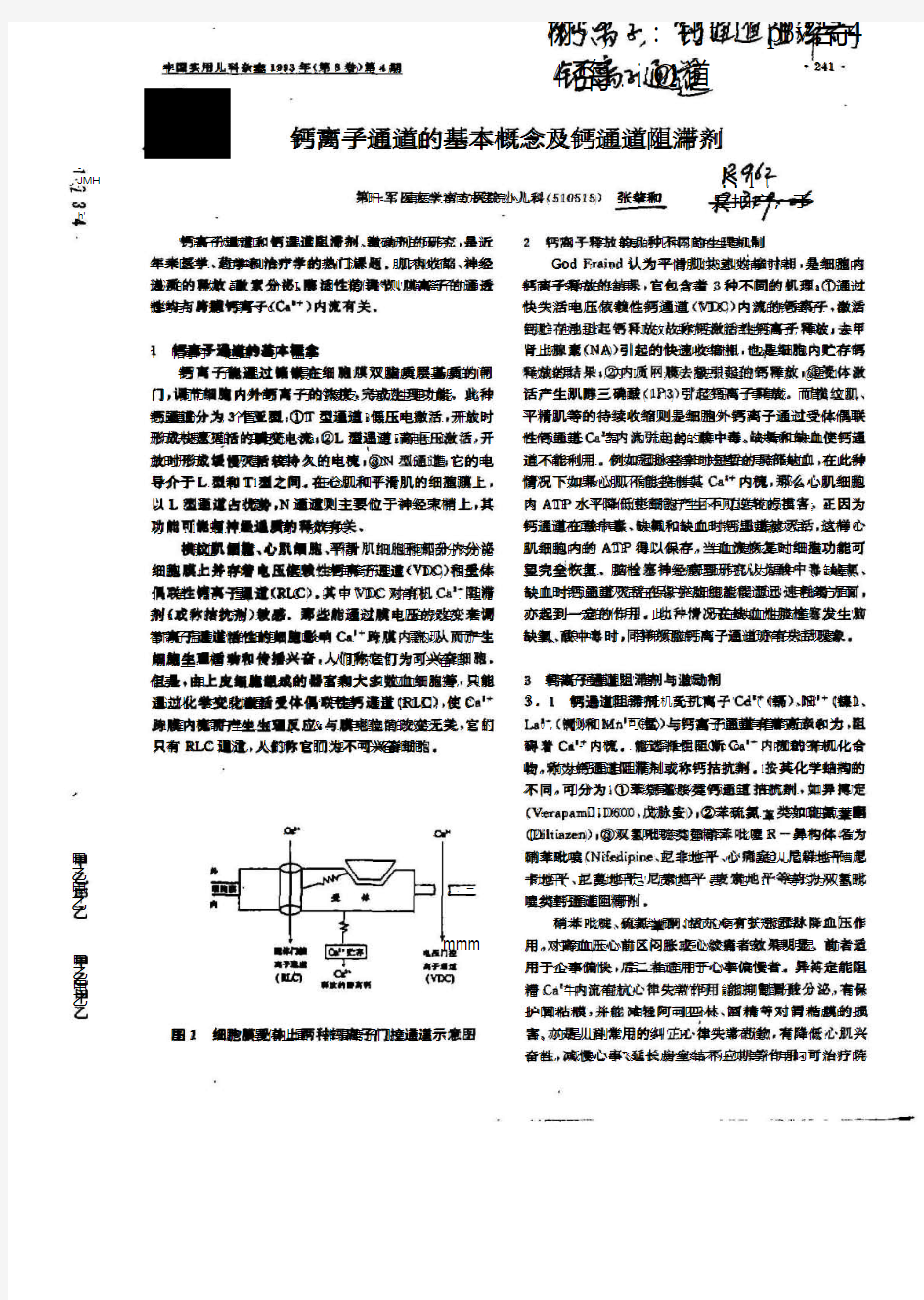 钙离子通道的基本概念及阻滞剂