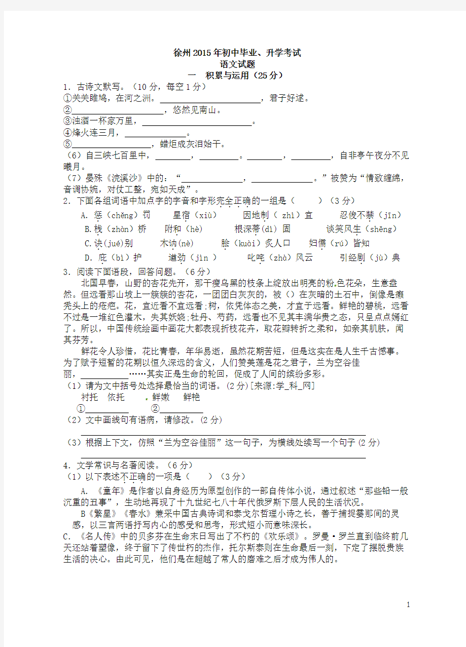 2015年江苏省徐州市中考语文试题(word 含答案)