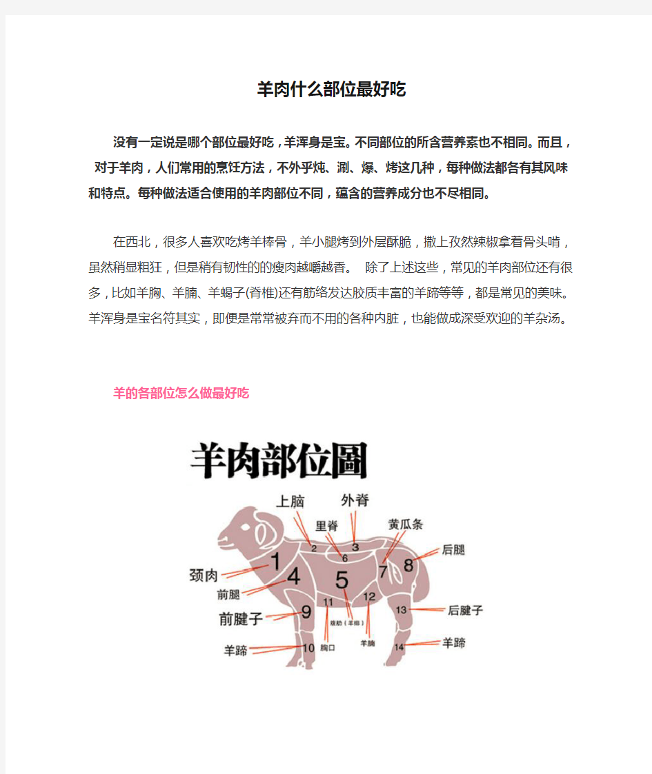 羊肉什么部位最好吃