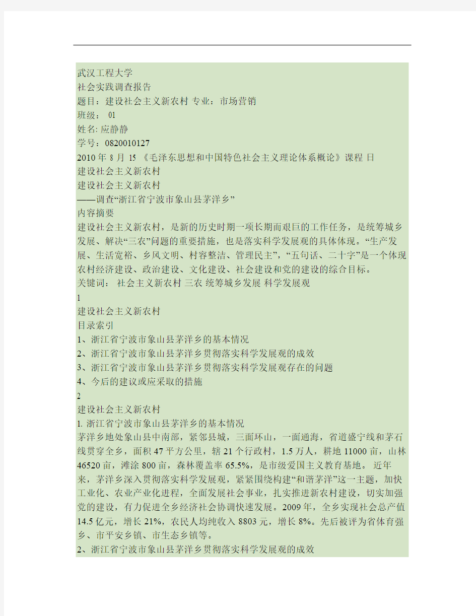 建设社会主义新农村(社会实践调查报告)