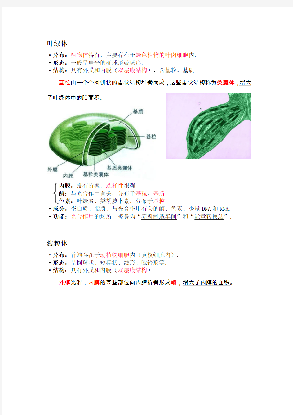 【高一生物】细胞器 知识点总结