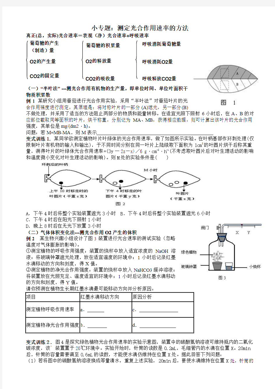 测定光合作用速率的方法2(含答案)