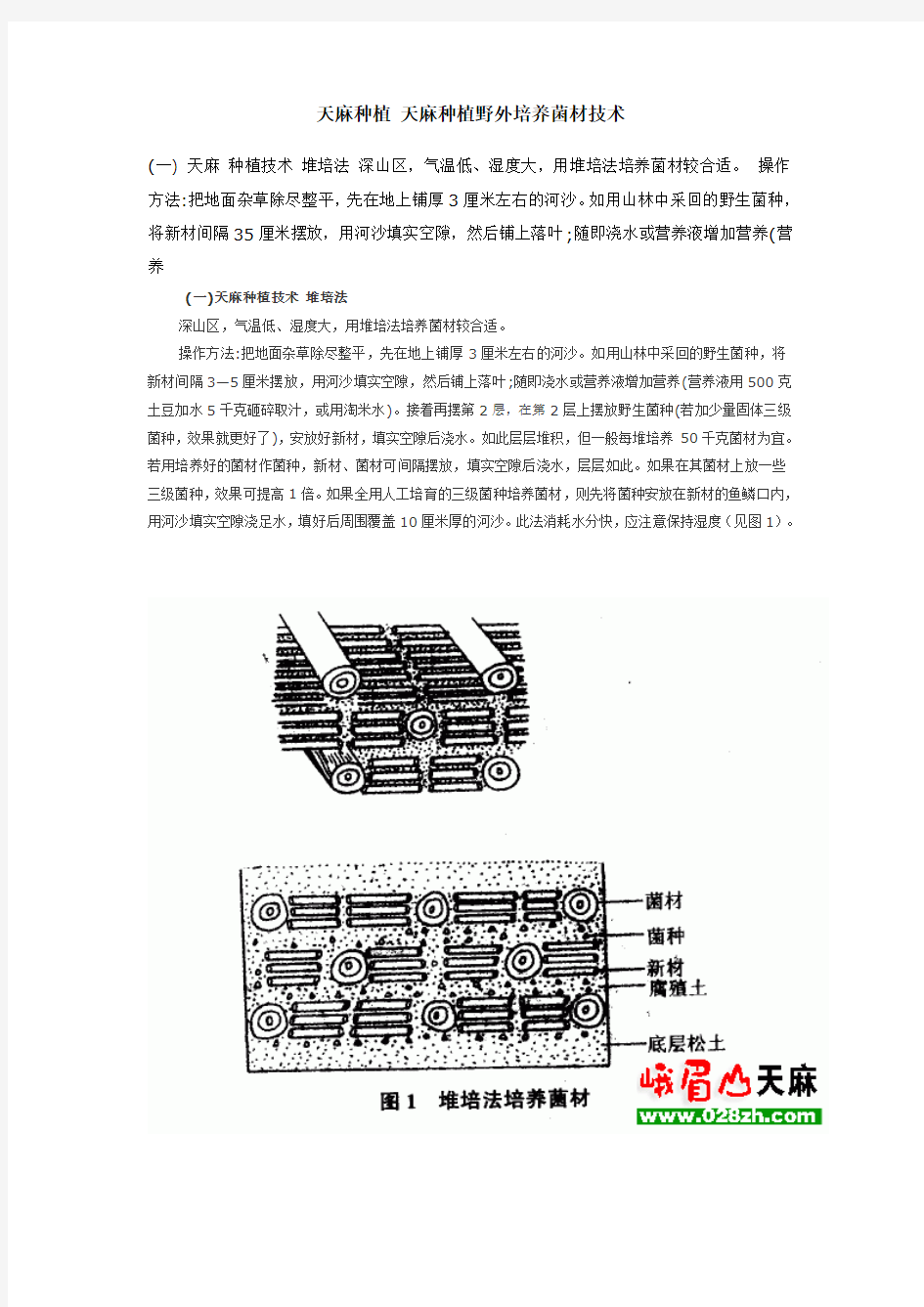 天麻种植野外培养菌材技术